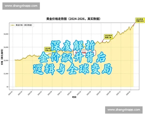 聚焦市场暴涨背后逻辑资金动向与普通人机会全解析风险应对策略